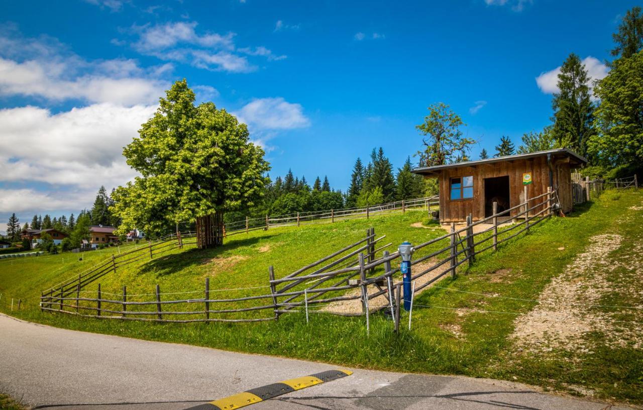 Apartmán Daarhof Wagrain Exteriér fotografie